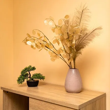 Cozy New 'casa ' ✵ Center ✵ *