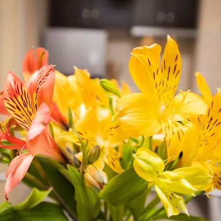 Cozy New 'casa ' ✵ Center ✵ *