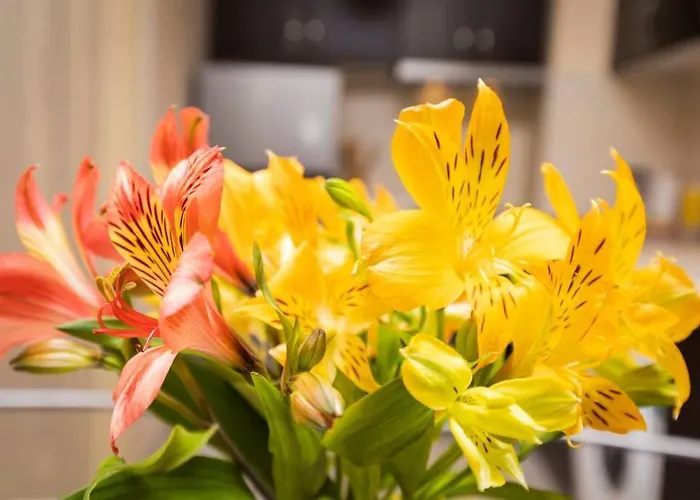 Cozy New 'casa ' ✵ Center ✵ *